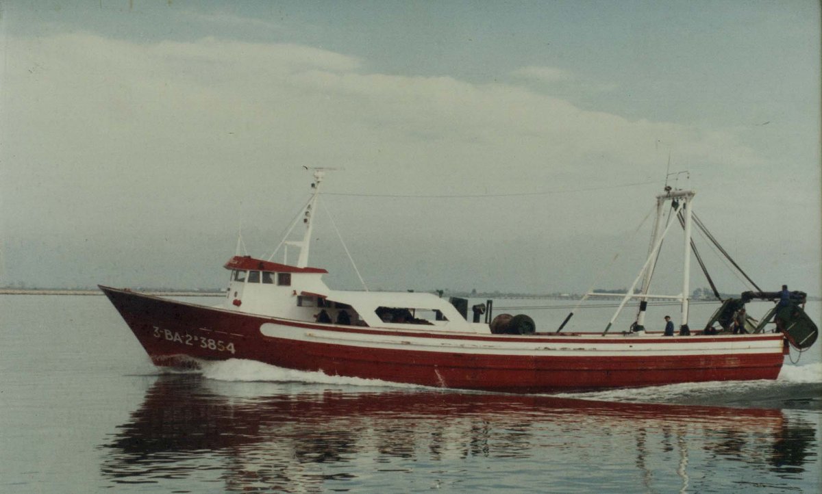 Imagen de Capitol 5 - 1989